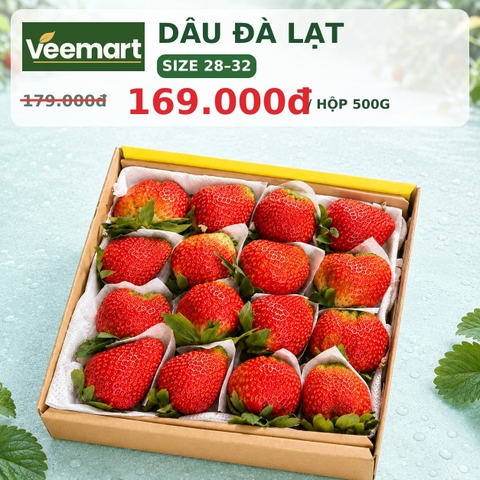 Dâu tây Đà Lạt size 28–32 hộp 500g