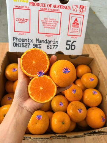 Quýt Citrus da mỏng size 56