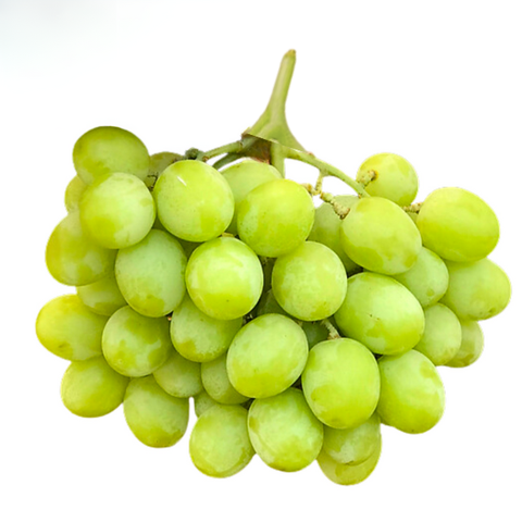 Nho mỹ