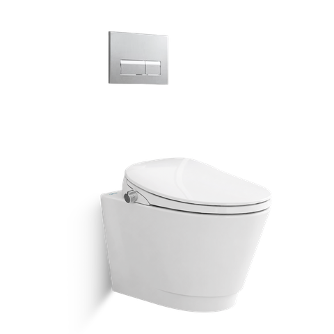 Bàn cầu treo tường V909D - BST SAPA