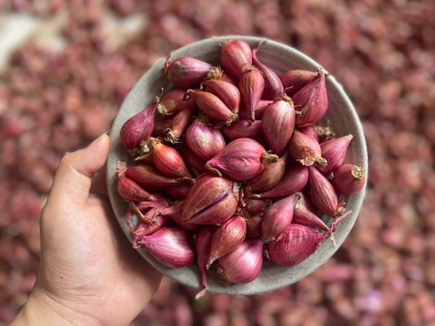 Hành tím Lý Sơn
