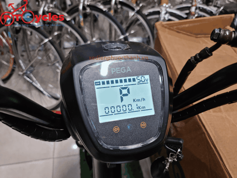 Xe điện Pega Cap AS+ Plus màu Đen
