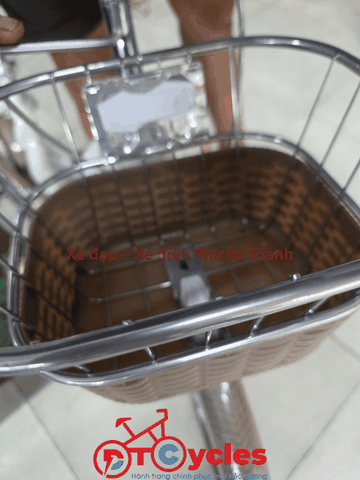 Xe đạp trẻ em nữ FUJISAN Sườn thiên nga 20 màu Xanh Mạ