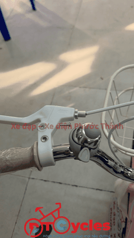 Xe đạp trẻ em nữ Fornix ZN16 màu Hồng Nhạt