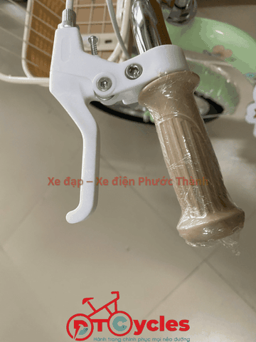 Xe đạp trẻ em nữ Fornix ZN16 màu Xanh Lá