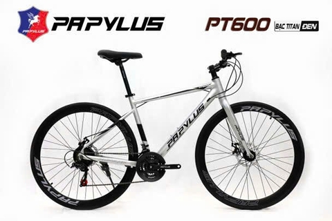 Xe đạp Touring PAPYLUS PT600 màu Bạc Titan
