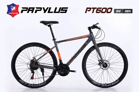 Xe đạp Touring PAPYLUS PT600 màu Ghi-Đen