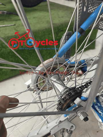 Xe đạp nữ PTCYCLES Windows 580 Sườn đơn thiên nga màu Xanh Biển