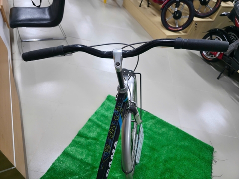 Xe đạp nữ ASAMA DAISY Bộ sưu tập 2019 màu Đen