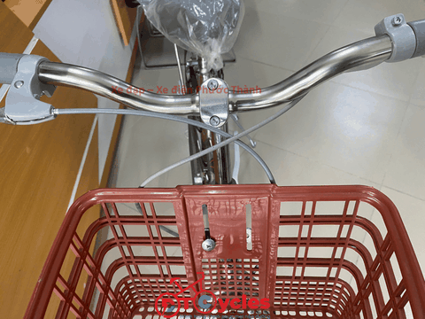 Xe đạp nữ PTCYCLES Windows 580 Sườn đơn thiên nga INOX