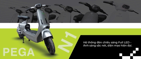 Xe điện Pega N1 màu Xám Nhám