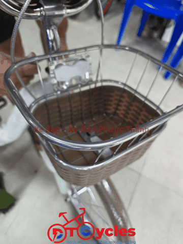 Xe đạp trẻ em nữ FUJISAN Sườn thiên nga 20 màu Xanh Mạ