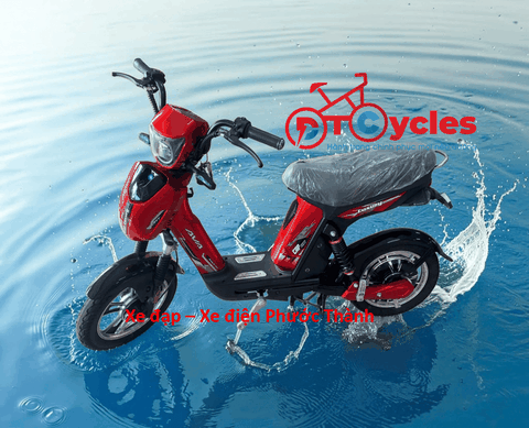 Cap A AVA LUXURY màu Đỏ Đô