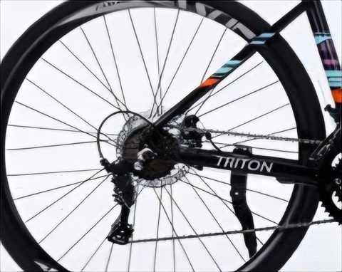 Xe đạp đua Fascino TRITON màu Đen Nhám