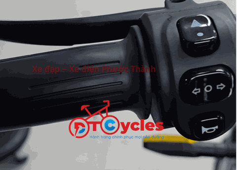 Xe điện AVA M133 2026 màu Đen