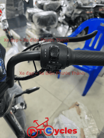 Xe điện Pega M133 màu Đen