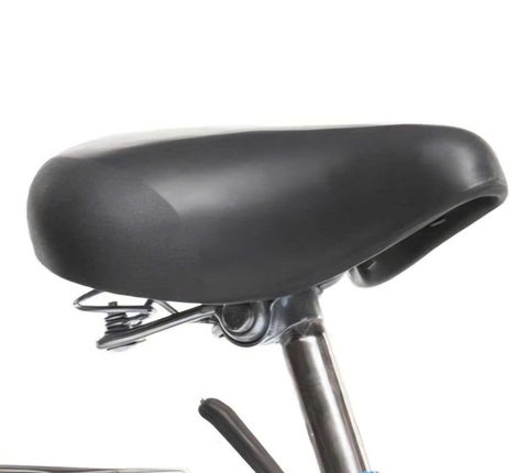 Xe đạp nữ Thống Nhất GN05 26 Sườn đôi dáng cong màu Xanh dương-Tím BATWHEEL