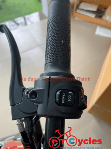 Cap A AVA LUXURY màu Đỏ Đô
