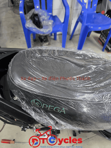 Xe điện Pega M133 màu Đen
