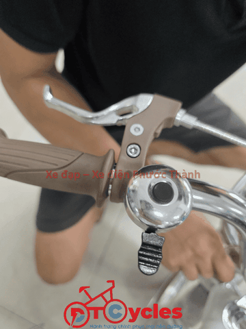 Xe đạp trẻ em nữ FUJISAN Sườn thiên nga 20 màu Xanh Mạ