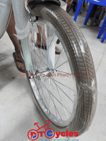 Xe đạp trẻ em nữ FUJISAN Sườn thiên nga 20 màu Xanh Mạ