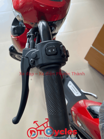 Cap A AVA LUXURY màu Đỏ Đô