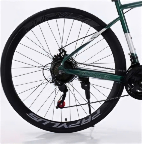 Xe đạp Touring PAPYLUS PT600 màu Xanh Bộ Đội