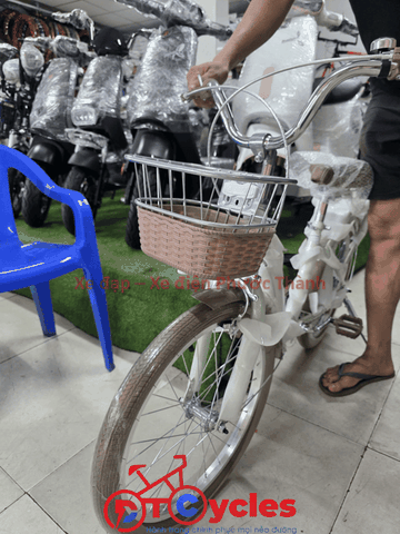 Xe đạp trẻ em nữ FUJISAN Sườn thiên nga 20 màu Xanh Mạ