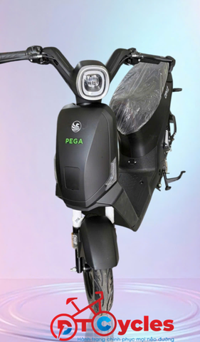 Xe điện Pega Cap AZ màu Đen