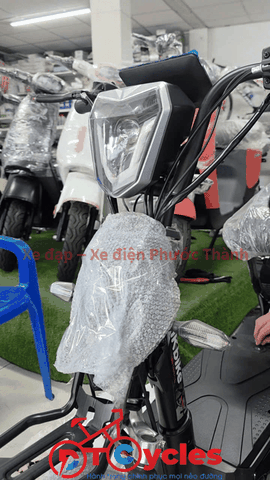 Xe điện Pega M133 màu Đen