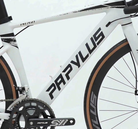 Xe đạp đua PAPYLUS PR760 màu Ghi Sứ