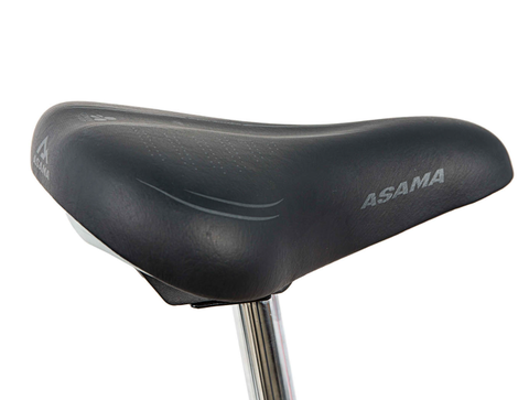 Xe đạp nữ ASAMA BREEZE 24 màu Đỏ