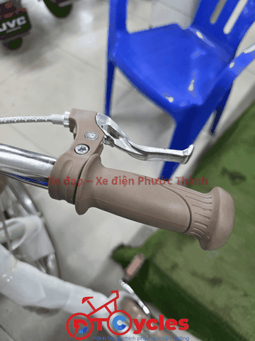Xe đạp trẻ em nữ FUJISAN Sườn thiên nga 20 màu Xanh Mạ