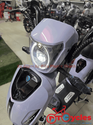 Cap A AVA LUXURY màu Tím Khói