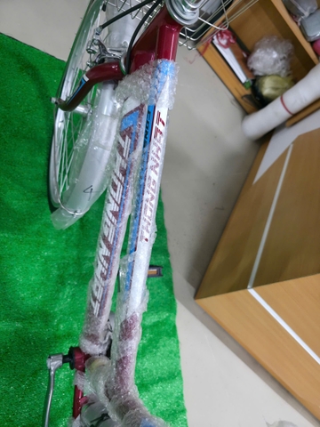 Xe đạp đường phố Thống Nhất GN 06 - 24 màu Đỏ