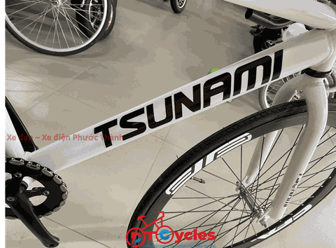 Xe đạp Fixed Gear PTCYCLES SNM100 màu Trắng