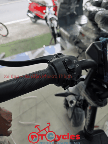 Xe điện Pega M133 màu Đen