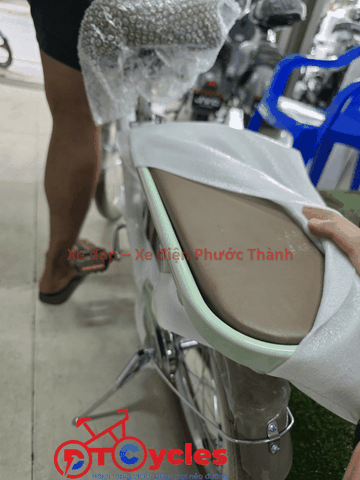 Xe đạp trẻ em nữ FUJISAN Sườn thiên nga 20 màu Xanh Mạ