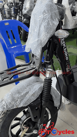Xe điện Pega M133 màu Đen