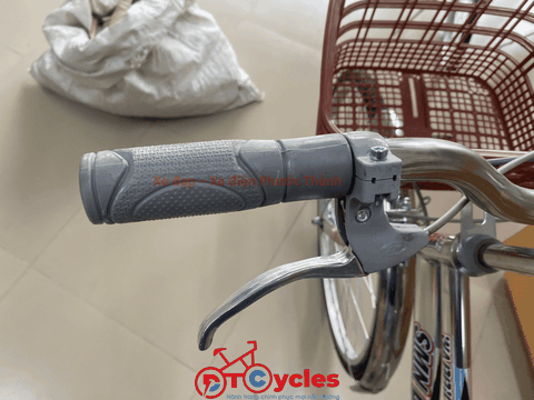 Xe đạp nữ PTCYCLES Windows 580 Sườn đơn thiên nga INOX