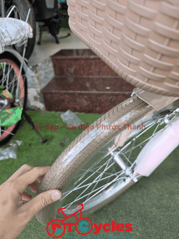 Xe đạp trẻ em nữ FUJISAN Sườn thiên nga 20 màu Hồng