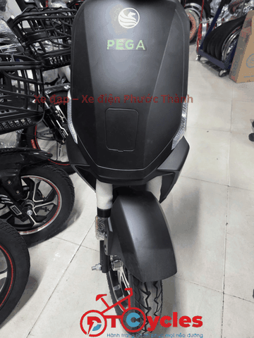 Xe điện Pega Cap AZ màu Đen