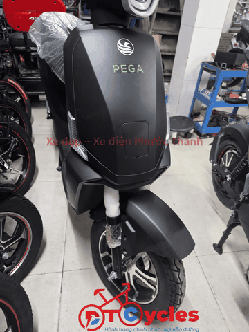 Xe điện Pega Cap AZ màu Đen