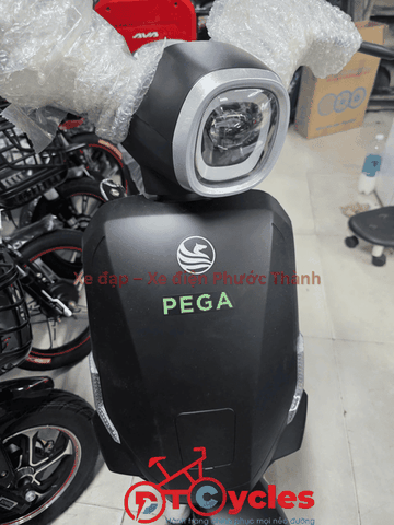Xe điện Pega Cap AZ màu Đen
