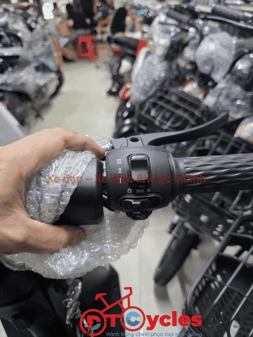 Xe điện Pega Cap AZ màu Đen