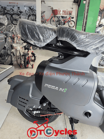 Xe điện Pega N1 màu Xám Nhám