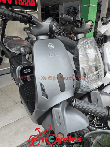 Xe điện Pega N1 màu Xám Nhám