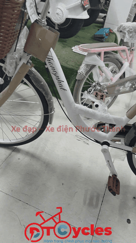 Xe đạp nữ Thống Nhất New 24 2026 màu Trắng