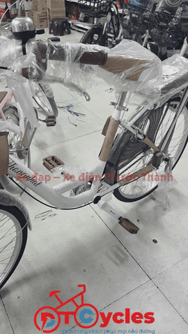 Xe đạp nữ Thống Nhất New 24 2026 màu Trắng