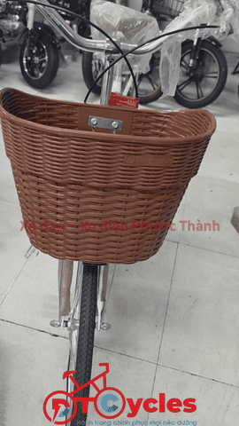 Xe đạp nữ Thống Nhất New 24 2026 màu Trắng